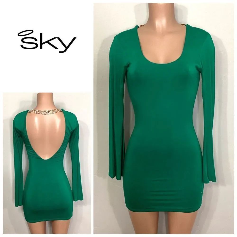 New. SKY long sleeve embellished Kelly green dress. RUNS SMALL. Normally $200